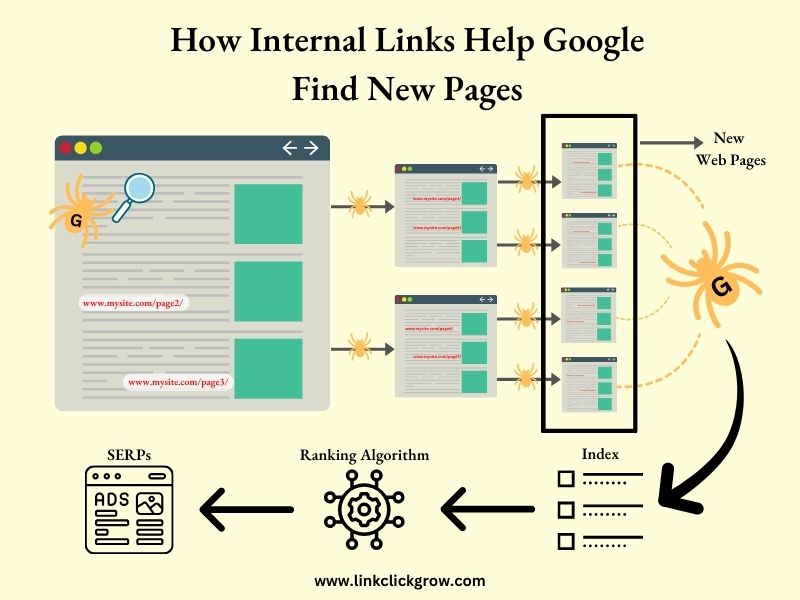 Internal Links Help Google Find New Pages